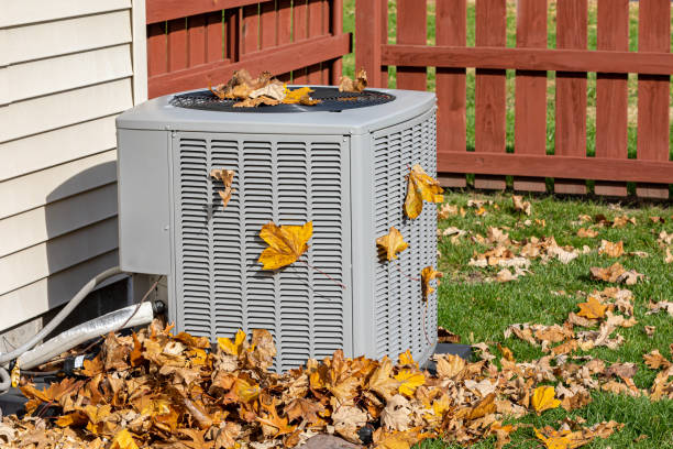 Best HVAC Maintenance Near Me  in Lecanto, FL